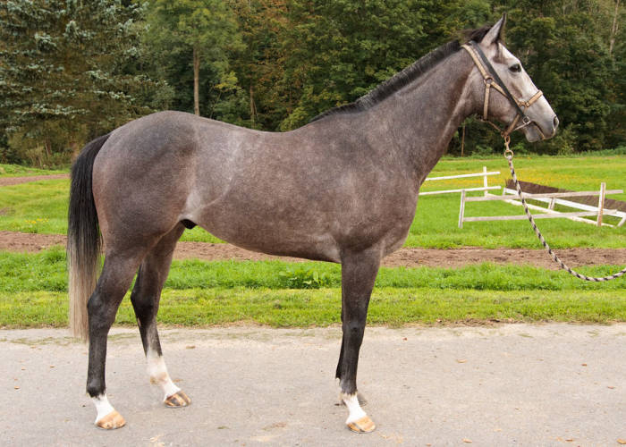 V sobotu na EJC do Velké Chuchle – výsledky