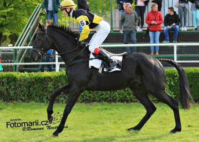 V sobotu na dostihy do Slušovic – výsledky