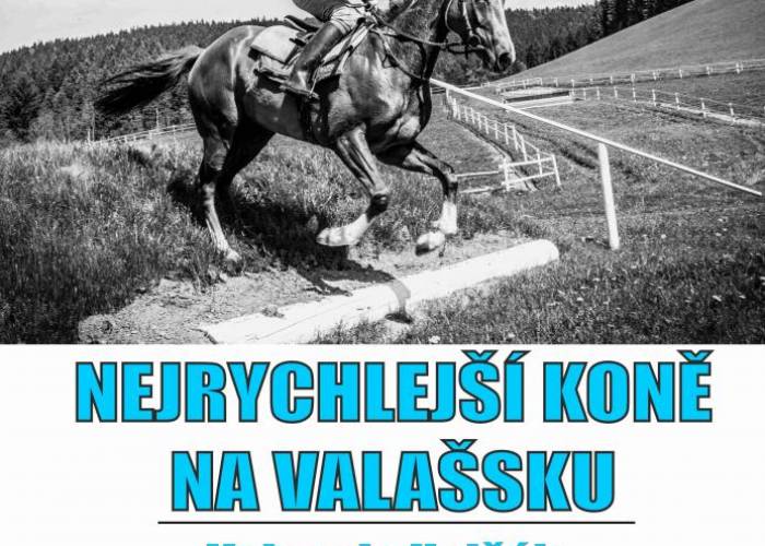 Vernisáž a výstava k 50. výročí založení naší tréninkové centrály