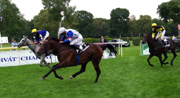Leger17(1)