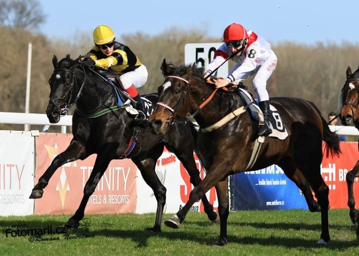 Dostihová sezona odstartována třetím místem v Gomba handicapu