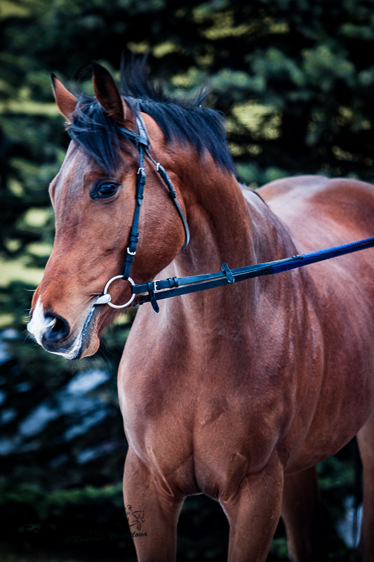 VIDEO: František Holčák s ostřílenými hvězdami i tříletými posilami