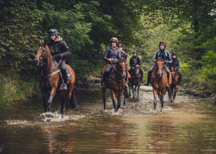 Fotogalerie: Podzimní tréninkové práce u Radka i Františka