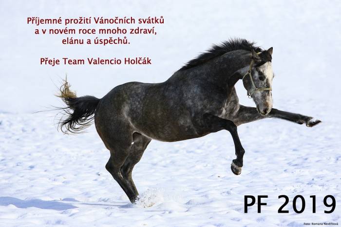 PF 2019
