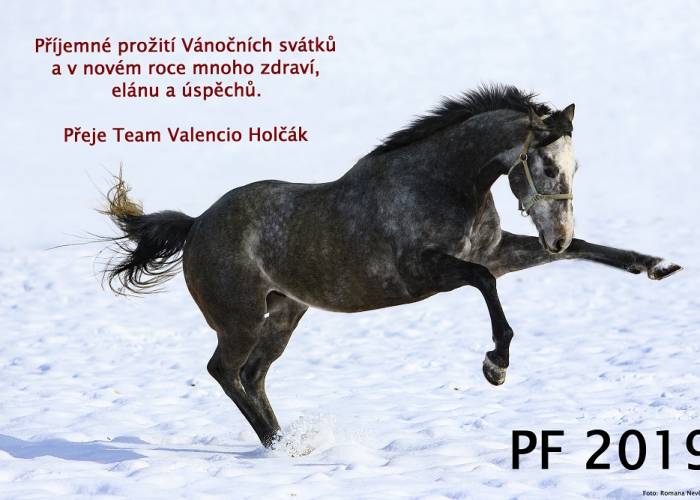 PF 2019