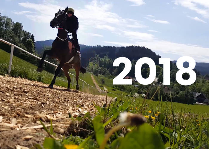 Video: Ohlédnutí za rokem 2018