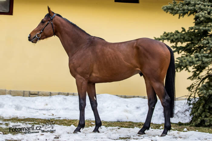 Rozhovor: S trenéry před sezonou