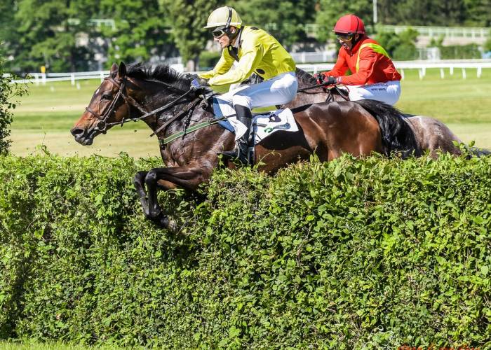 Dunáta třetí v ceně Registany a výsledky z Pardubic