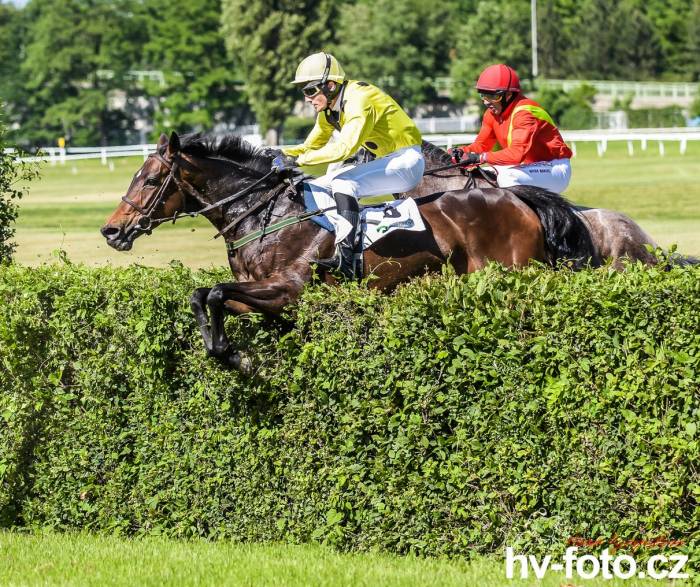 Dunáta třetí v ceně Registany a výsledky z Pardubic