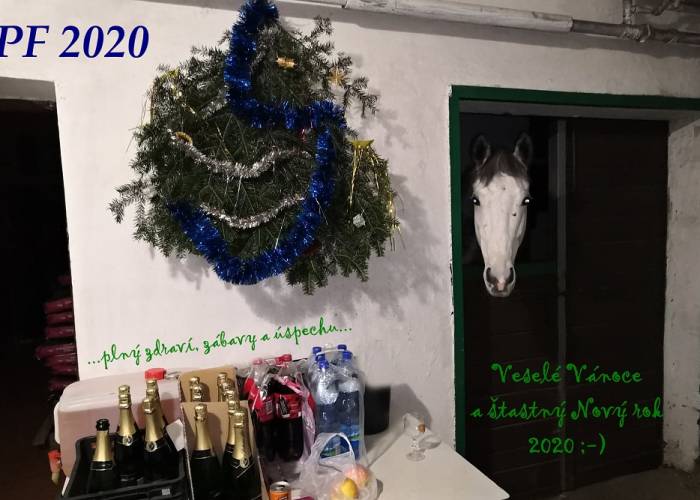 Vánoční večírek 2019 aneb PF 2020