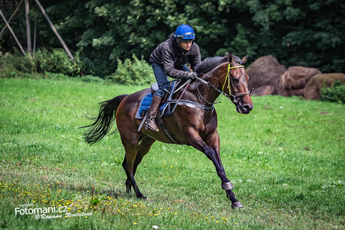 První přihlášky s našimi svěřenci již na světě