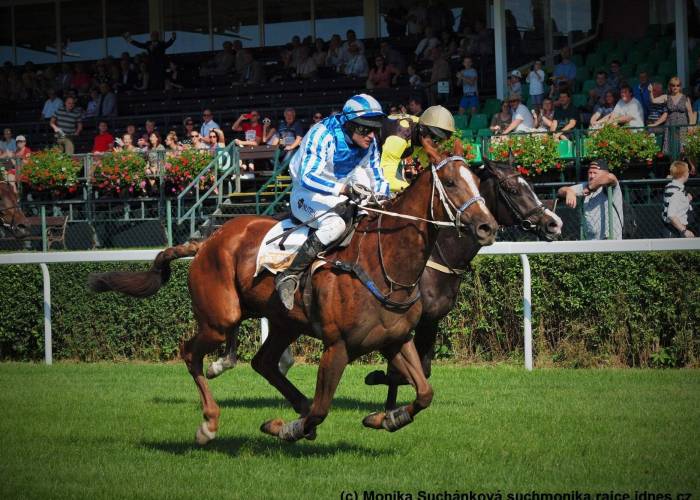 Výsledky: Pardubice a Lysá nad Labem