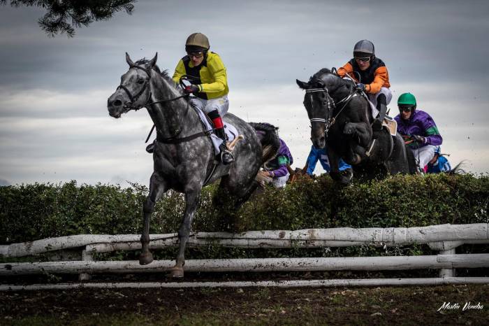 Pardubice: Přihlášky do rámcových dostihů před 130.Velkou pardubickou