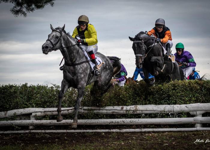 130.Velká pardubická již v neděli