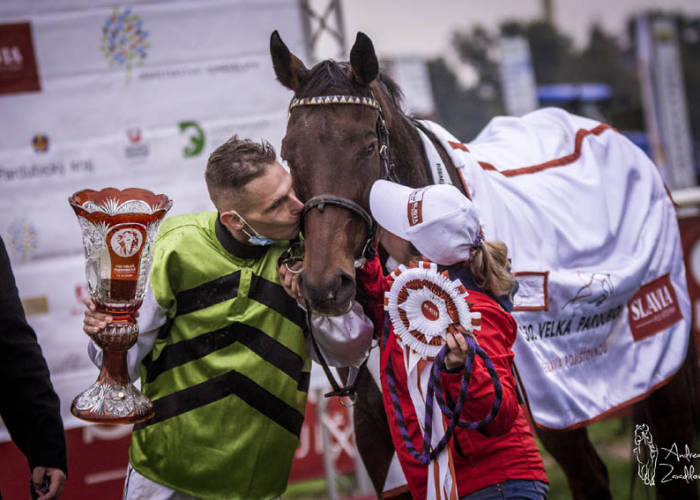 130.Velká pardubická: vítězství Hegnuse