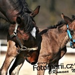 Valencio Holčák - foto: Romana Nevěřilová - www.fotomarii.cz