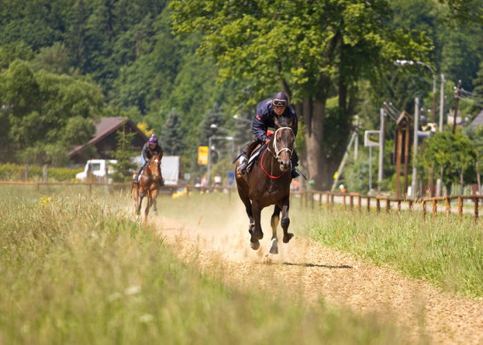 Foto: Cheeky Chappie připraven na Derby