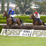 Brog Deas - Gran Siepi di Merano - foto: Press Arigossi