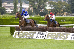 Brog Deas - Gran Siepi di Merano - foto: Press Arigossi