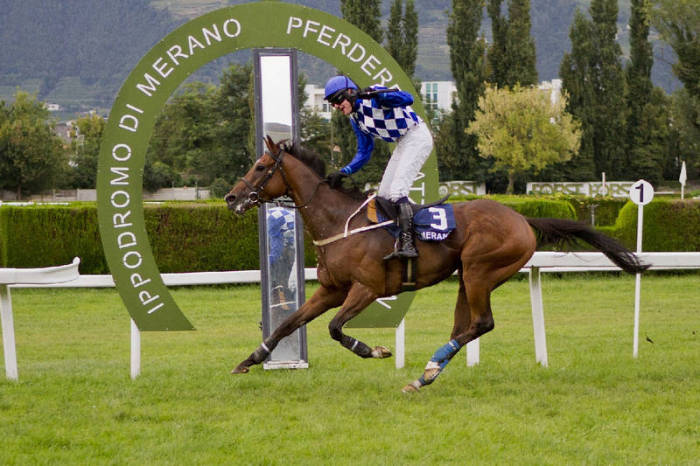 VIDEO: Brog Deas ovládl italské Gran Corsa siepi di Merano!