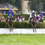 Brog Deas - Gran Siepi di Merano - foto: Press Arigossi