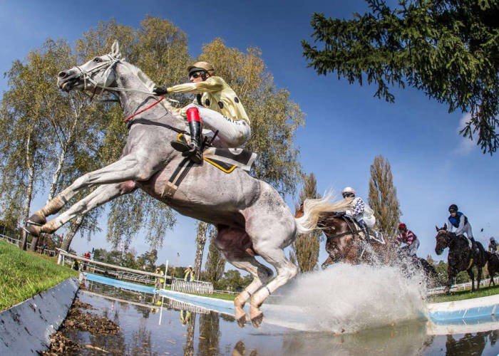 Velká pardubická: dvakrát vítězně, dvakrát irská