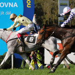 Shaman obhajuje vítězství v Poplerově měmoriálu - Foto: Šárka Votavová pro Galopp-reporter.cz