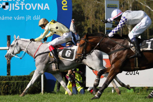 Shaman obhajuje vítězství v Poplerově měmoriálu - Foto: Šárka Votavová pro Galopp-reporter.cz