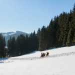 Valencio Holčák - foto: Ondřej Carda - www.ondrejcarda.com