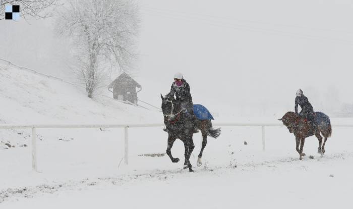 Radek Holčák pro Galopp-reporter + zasněžená fotogalerie