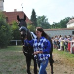 Jovell - Foto: Bohumil Křižan & Galopp reporter