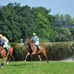 Jovell (dohání ztrátu po irské lavici) - Foto: Bohumil Křižan & Galopp reporter