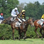 Marmiton (vpravo) - Foto: Bohumil Křižan & Galopp reporter