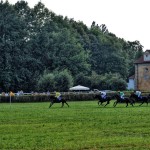 Stinga (vede) - Foto: Bohumil Křižan & Galopp reporter