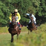 Stinga (vítězství) - Foto: Bohumil Křižan & Galopp reporter