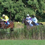 Stinga (vede) - Foto: Bohumil Křižan & Galopp reporter