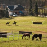 Foto: Ondřej Carda - www.ondrejcarda.com