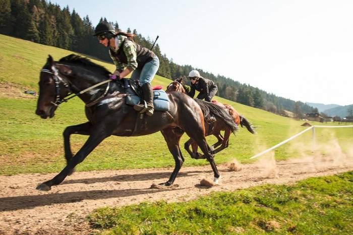 FOTOGALERIE: Tréninkové práce před sezonou 2016