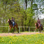 Valencio - Radek Holčák - trénink - foto: Ondřej Carda