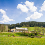 Valencio Holčák - foto: Ondřej Carda - www.ondrejcarda.com