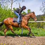 Valencio - Radek Holčák - trénink - foto: Ondřej Carda