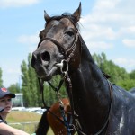 Pardubice - 1.kvalifikace - foto: Bohumil Křižan