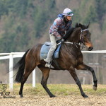 Valencio Holčák - foto: Romana Nevěřilová - www.fotomarii.cz