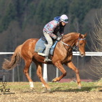 Valencio Holčák - foto: Romana Nevěřilová - www.fotomarii.cz