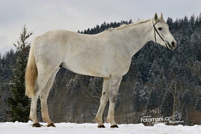 Přihlášky do Brna a Bratislavy