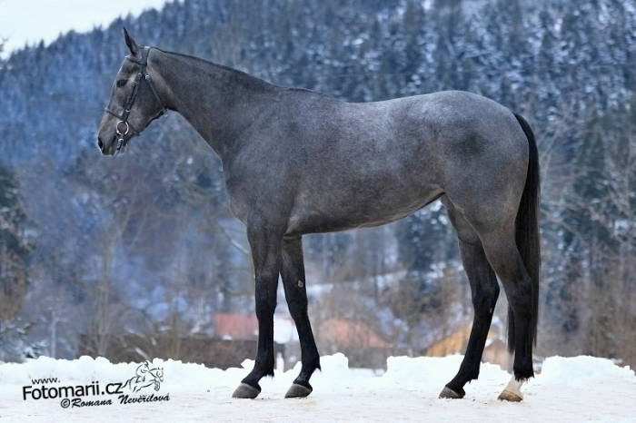 Přihlášky do slovenských klasik