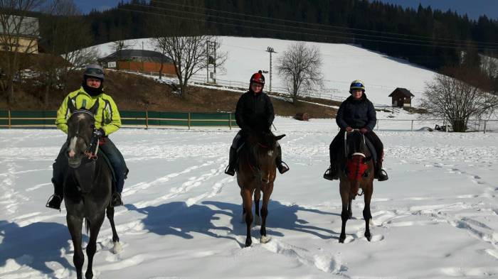 Nová pracovní posila