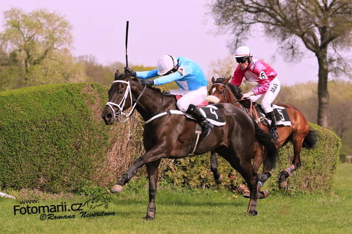 Flower Of Love zajistila první letošní vítězství