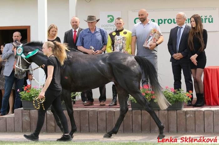 Debutujicí Dajuka zvítězila