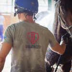 061_Valencio_2019_OC